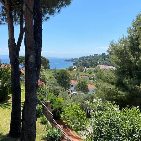 Villa Xanthippi Αγία Παρασκευή Εξωτερικό φωτογραφία