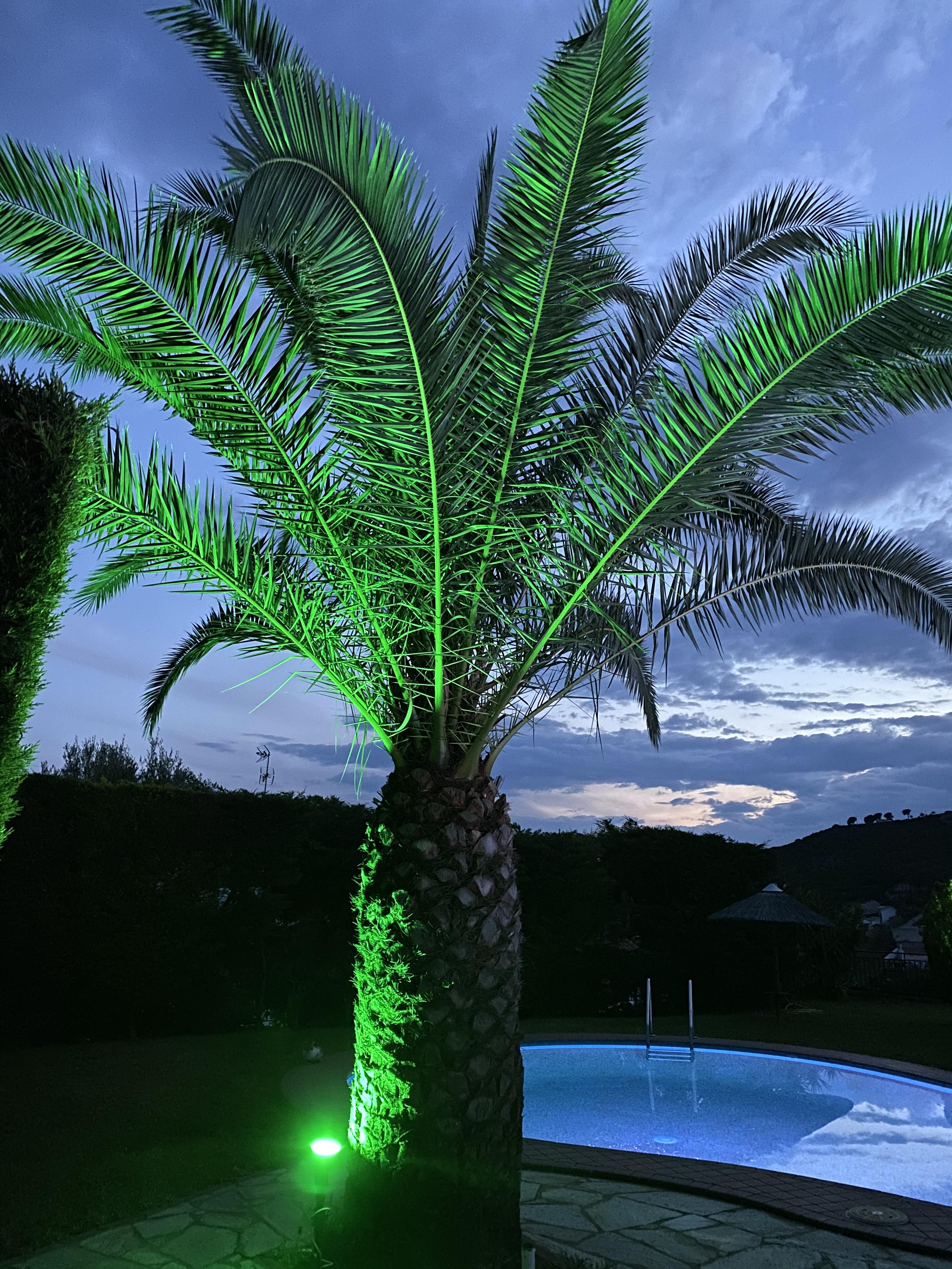 Villa Xanthippi Αγία Παρασκευή Εξωτερικό φωτογραφία