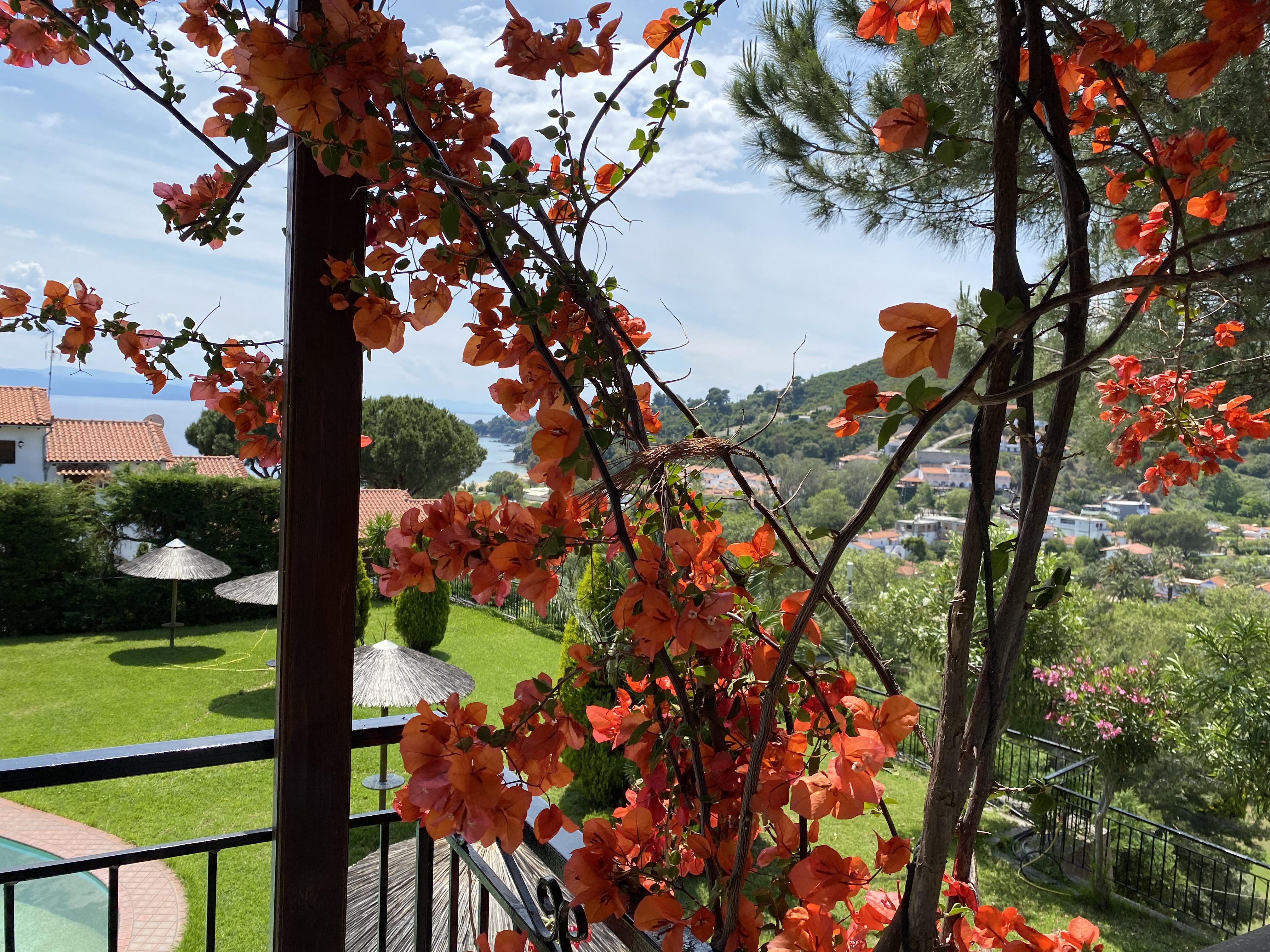 Villa Xanthippi Αγία Παρασκευή Εξωτερικό φωτογραφία