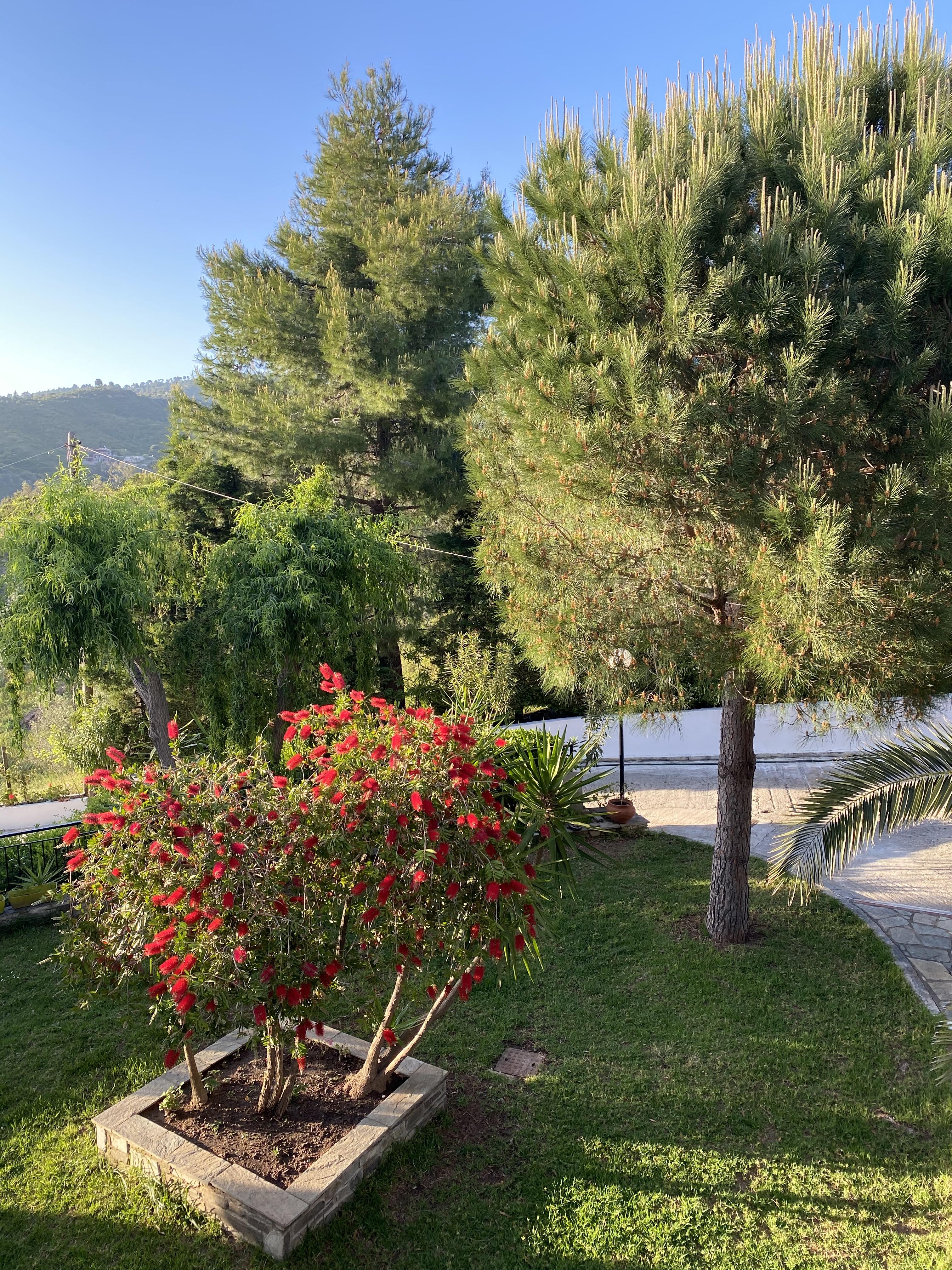 Villa Xanthippi Αγία Παρασκευή Εξωτερικό φωτογραφία
