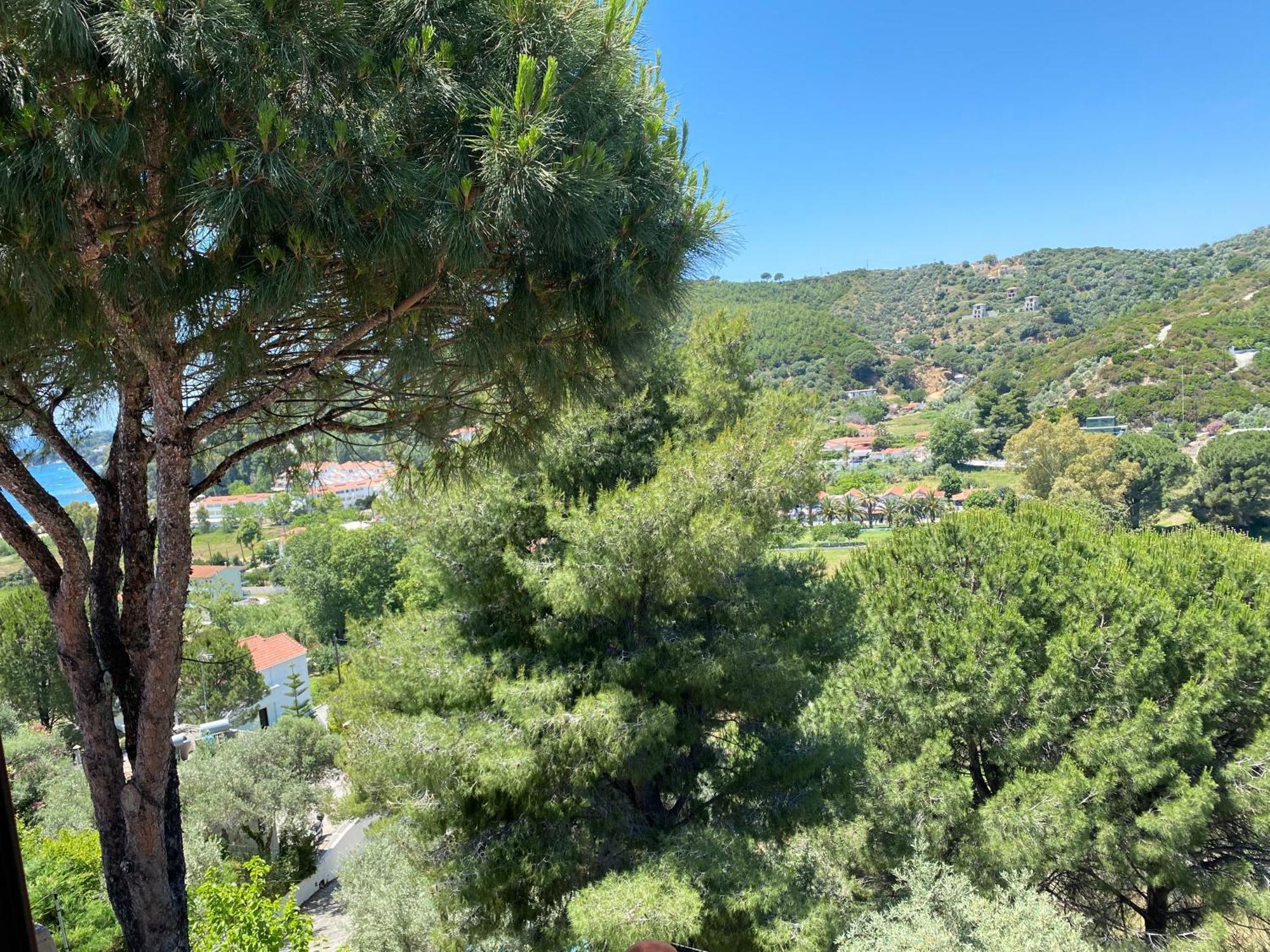Villa Xanthippi Αγία Παρασκευή Εξωτερικό φωτογραφία