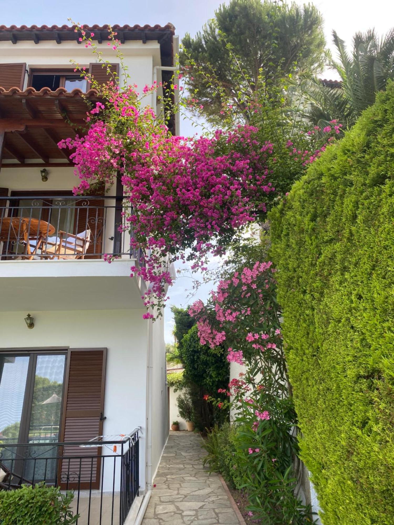 Villa Xanthippi Αγία Παρασκευή Εξωτερικό φωτογραφία